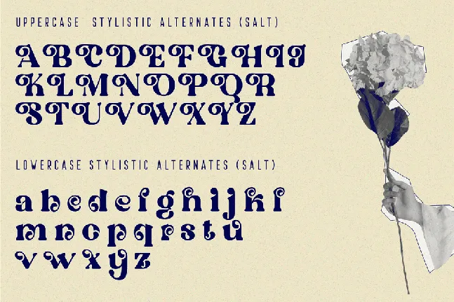 Ostrich Habitat font