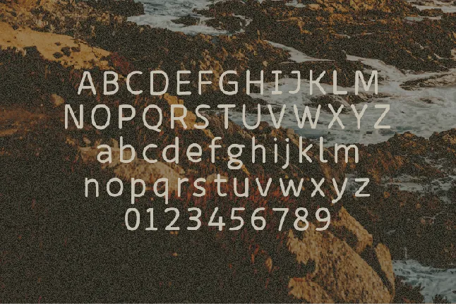 Branch font