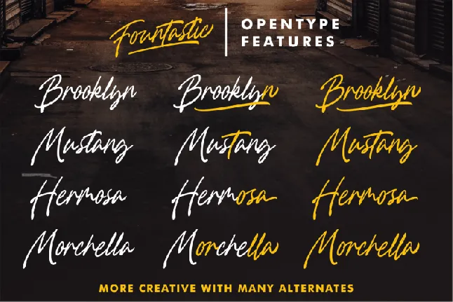 Fountastic Script font