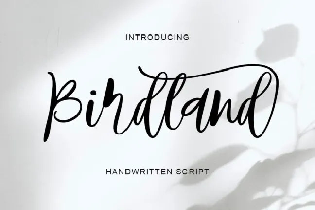 Birdland Script font