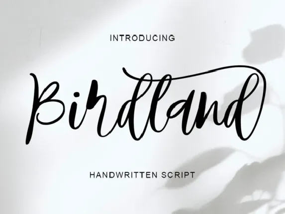 Birdland Script font