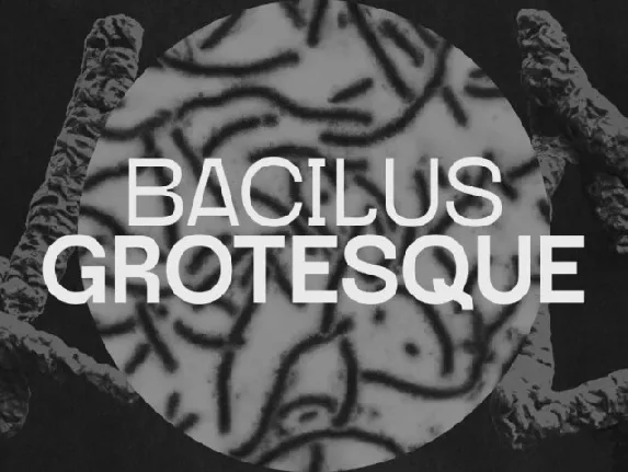 Bacilus Grotesque Family font