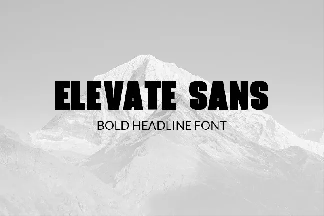 Elevate Sans font