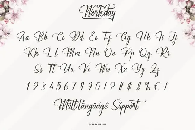 Workday Calligraphy font