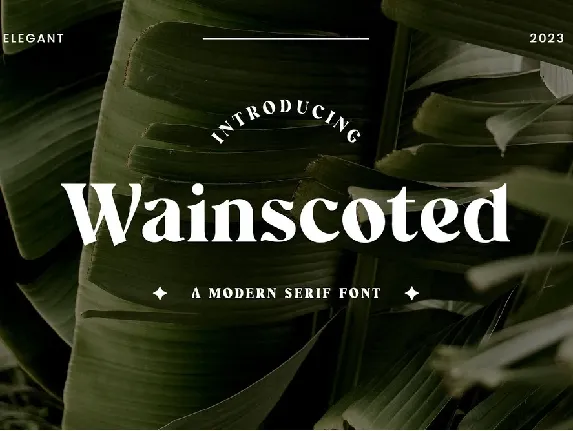 Wainscoted font