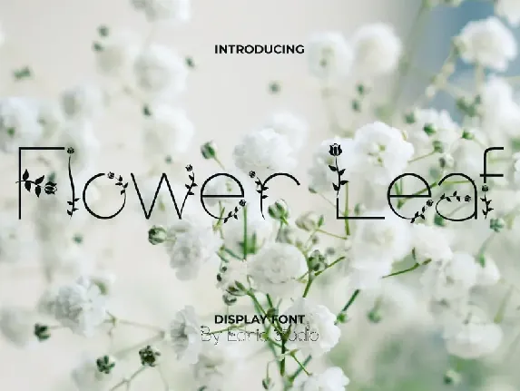 Flower Leaf Demo font