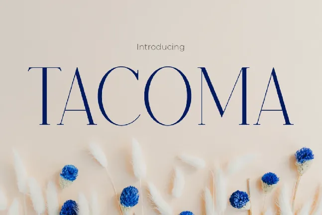 TACOMA font