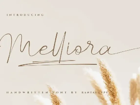 Melliora font