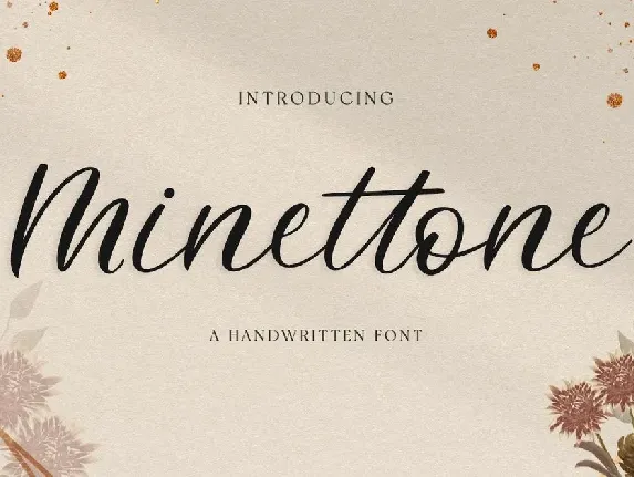 Minettone font