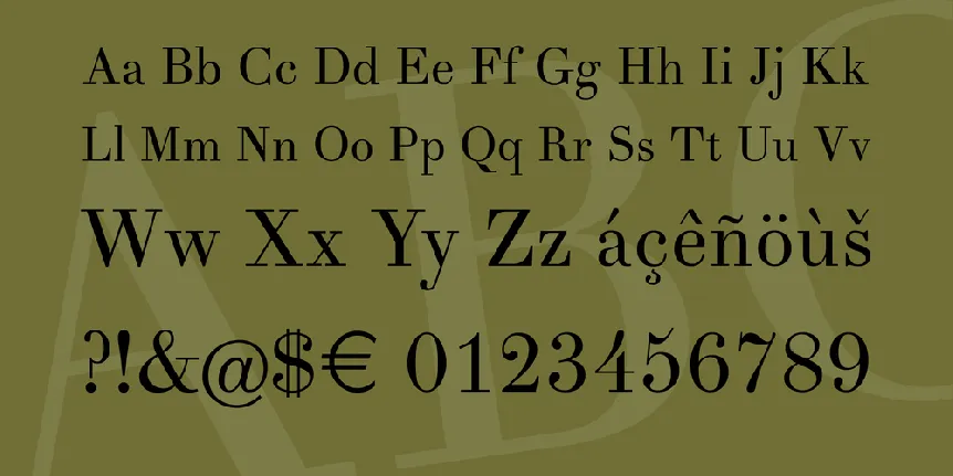 Theano Didot font