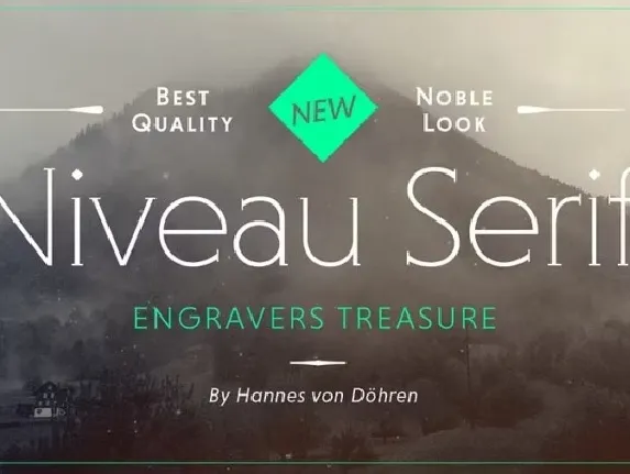 Niveau Serif Family font