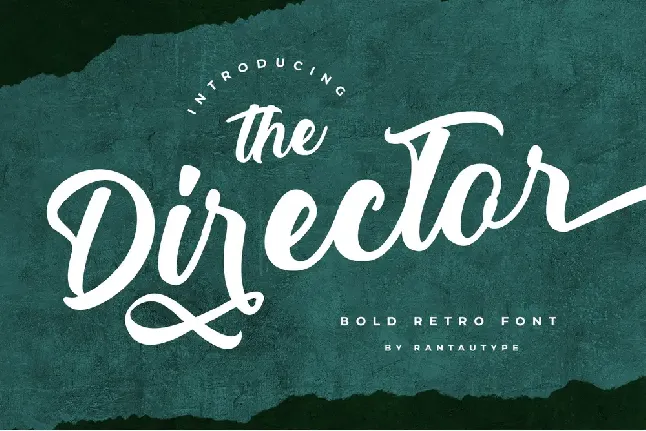 The Director Script font