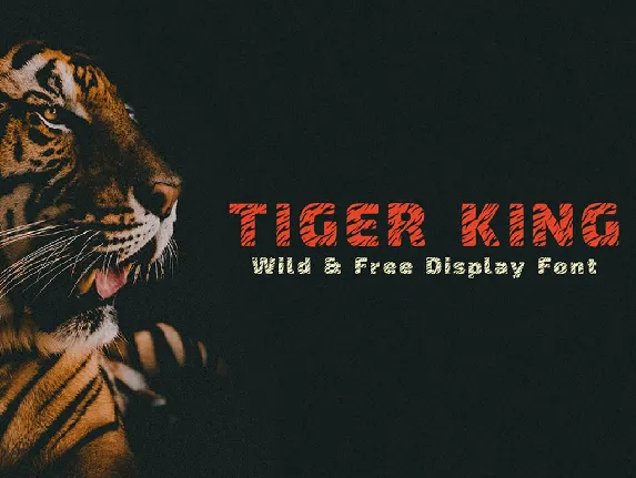 Tiger King Display font