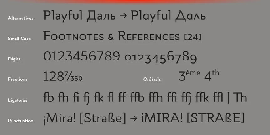 Quiza Pro Family font