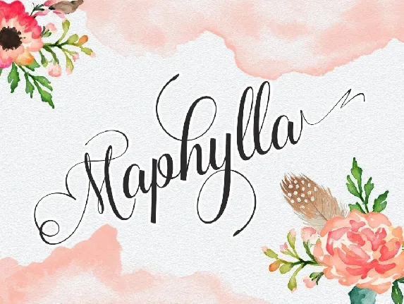 Maphylla font