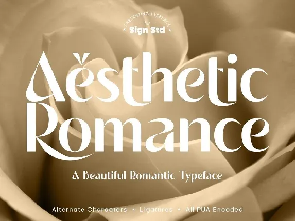 Aesthetic Romance font