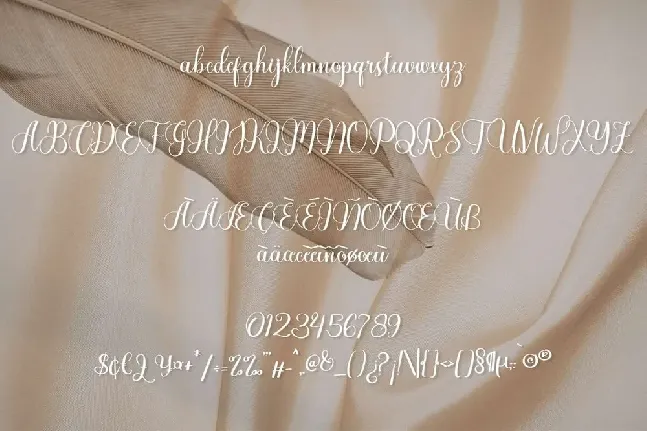 Alexandria font