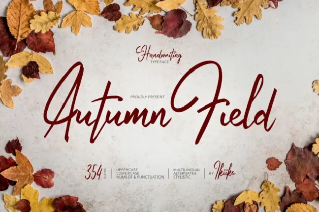 Autumn Field Typeface font