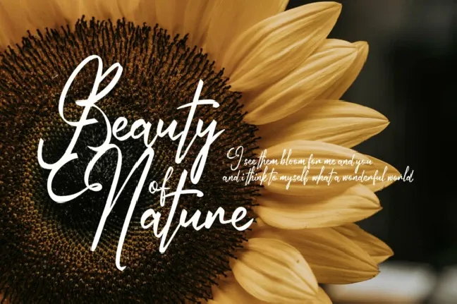 Autumn Field Typeface font