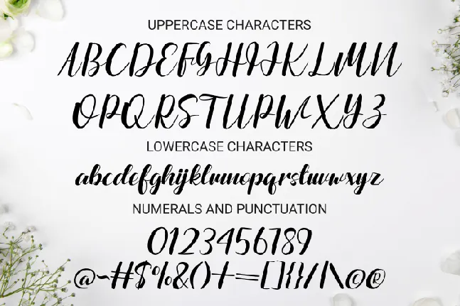 Havergie Script font