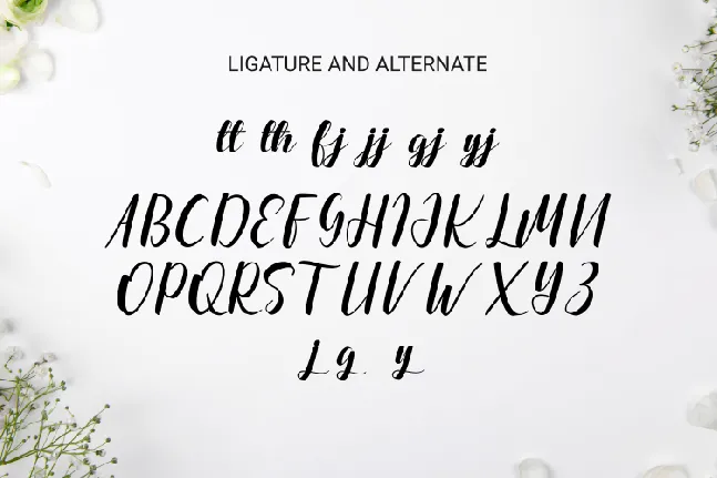 Havergie Script font