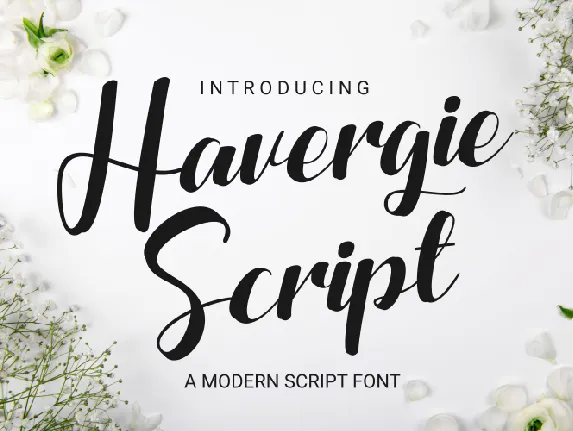 Havergie Script font