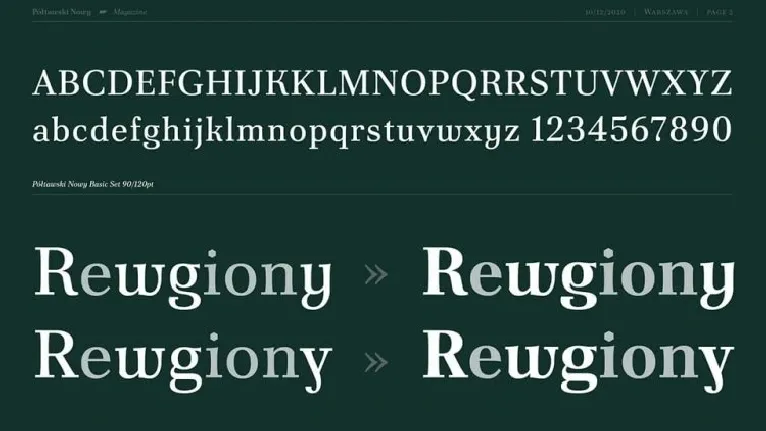 Poltawski Nowy Family font