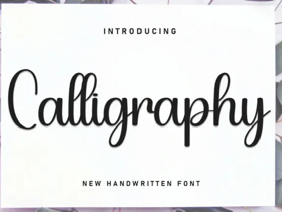 Calligraphy Script Typeface font