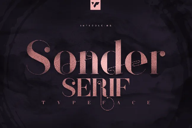 Sonder VP Demo font