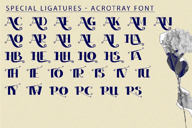 Acrotray font