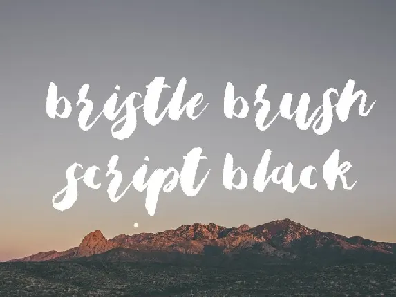 Bristle Brush Free font