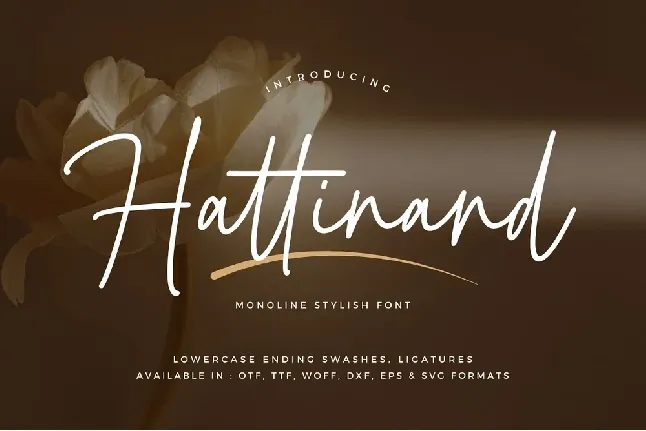 Hattinand font