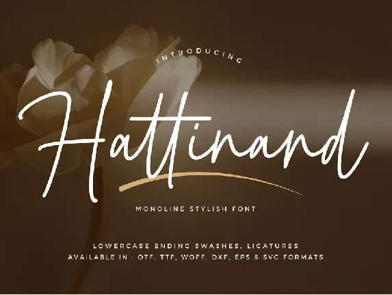 Hattinand font