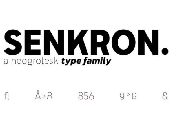 Senkron Sans Family font