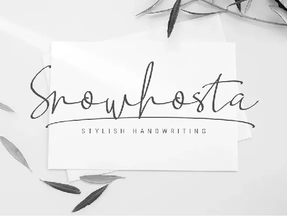 Snowhosta font