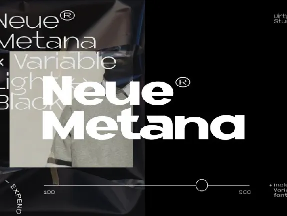 Neue Metana Family font