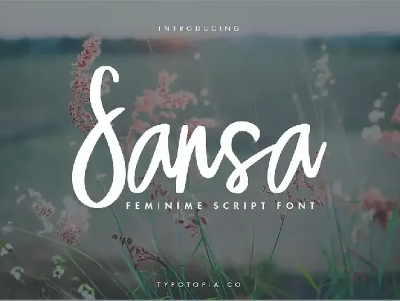 Sansa font