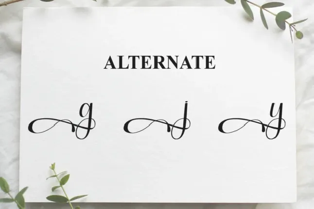 Lettering Calligraphy font