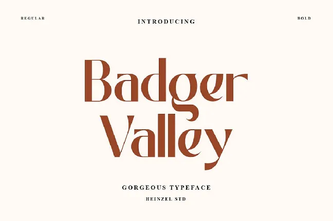 Badger Valley Typeface font