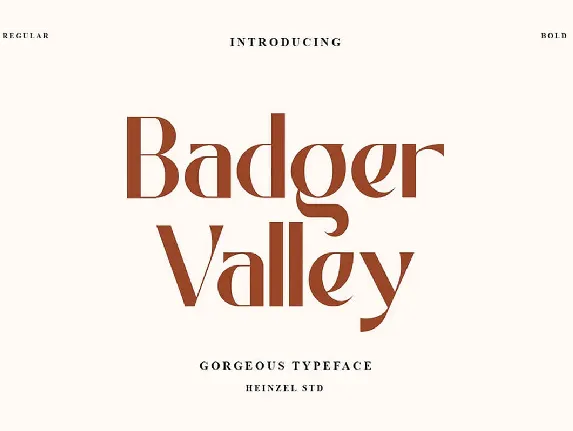 Badger Valley Typeface font