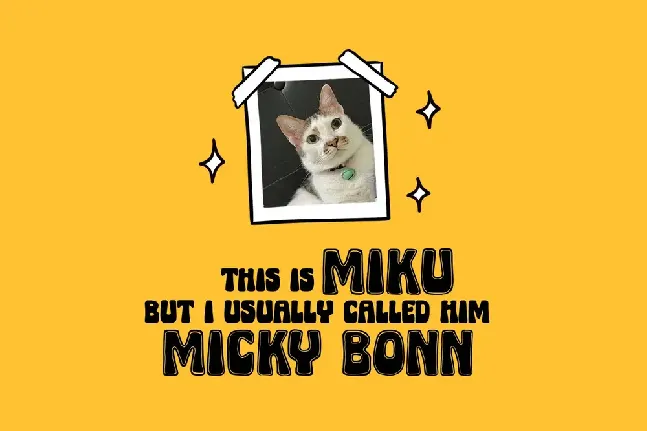 Micky Bonn Inline font