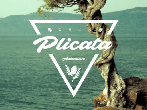 Plicata Free font