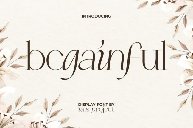 Begainful font