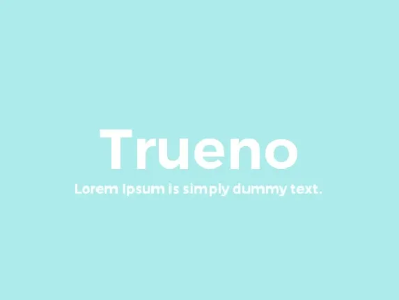 Trueno Sans Family font