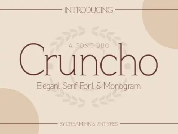 Cruncho Serif font