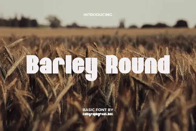 Barley Round Demo font