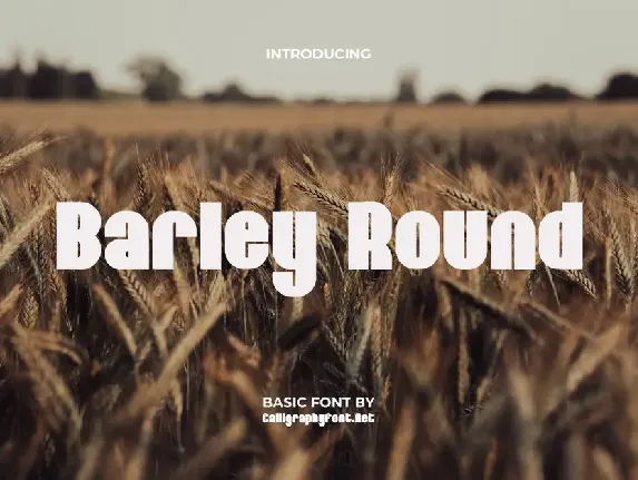 Barley Round Demo font