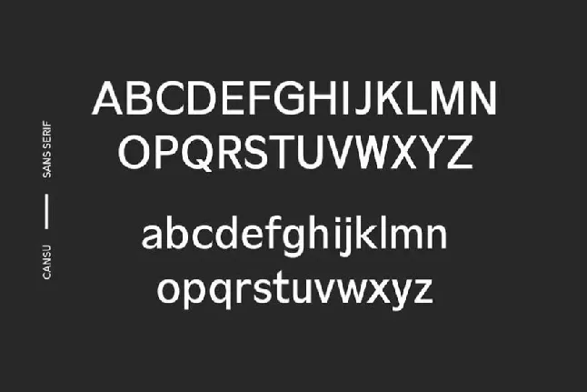 Cansu Sans Serif Family font