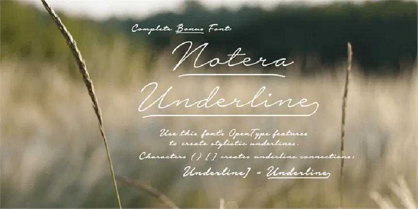 Notera 2 Script font