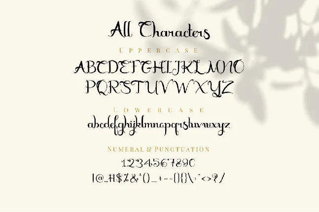 Marceila font